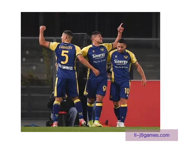 意甲维罗纳陷财政危机被迫清仓主力阵容球队未来前景引发球迷担忧